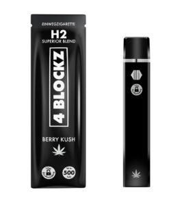 4 Blockz H2 95% Disposable Vapes