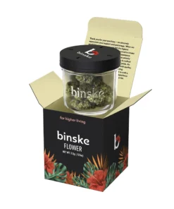 Binske Hybrid Jungle Pie Flower