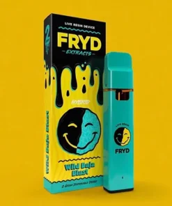 FRYD Disposable Vape 2G