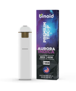 Binoid Premium THC-P 2G Disposable Vape Pen