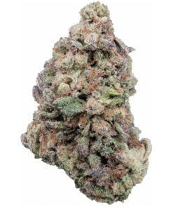 Glitter Bomb Strain THCa Flower